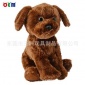 专业订做新款棕色小狗毛绒玩具仿真创意狗公仔坐姿小狗
