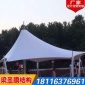 厂家专业供应广场膜结构建筑 膜结构景观棚 张拉膜结构景观棚